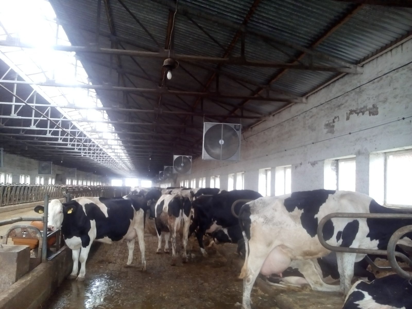 null