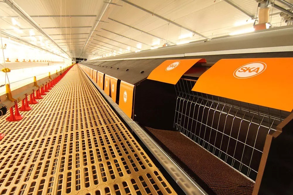 Системи гніздування Zeus