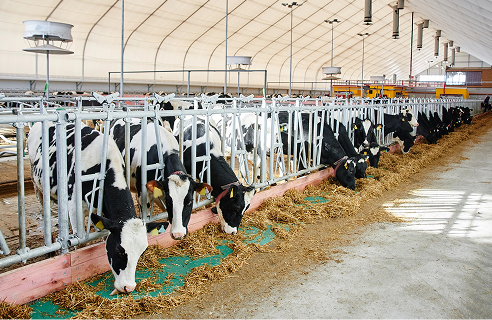 Обладнання для ВРХ